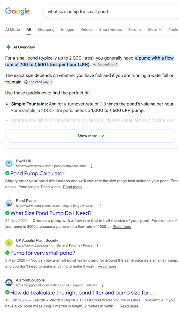 google search results showing a small business ranking on page one for a local query